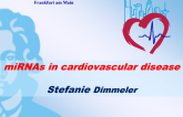 miRNAs in cardiovascular disease