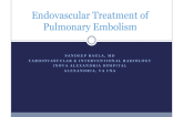 Endovascular Treatment of Pulmonary Embolism