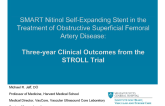 SMART™ Stent in the Treatment of Obstructive Superficial Femoral Artery Disease: Three-year Clinical Outcomes from the STROLL TRIAL