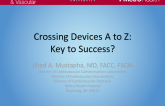 Crossing Devices A to Z: Keys to Success?
