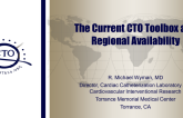 The Current CTO Toolbox and Regional Availability