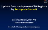 Update from the Japanese CTO Registry
