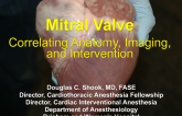 Mitral Valve: Correlating Anatomy, Imaging, and Intervention