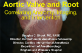 Aortic Valve and Root: Correlating Anatomy, Imaging, and Intervention