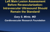 Left Main Lesion Assessment Before Revascularization: Intravascular Ultrasound Should Remain the Standard!