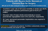 TAVR Using a Self-expanding Bioprosthesis in Patients with Severe Aortic Stenosis at Extreme Risk for Surgery