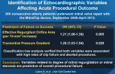 MitraClip Therapy in Surgical High-risk Patients: Identification of Echocardiographic Variables Affecting Acute Procedural Outcome