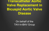 Transcatheter Aortic Valve Replacement in Bicuspid Aortic Valve Disease