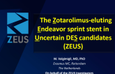 The Zotarolimus-eluting Endeavor sprint stent in Uncertain DES candidates (ZEUS)