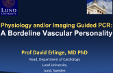 Physiology and/or Imaging Guided PCR: A Bordeline Vascular Personality
