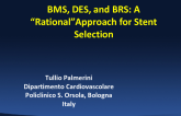 BMS, DES, and BRS: A “Rational”Approach for Stent Selection