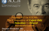 Primary PCI in STEMI: The Controversy of Culprit Only vs Immediate vs Delayed Revascularization