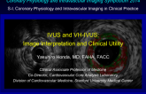 IVUS and VH-IVUS: Image Interpretation and Clinical Utility