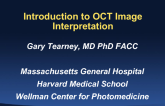 Introduction to OCT Image Interpretation