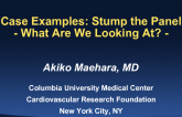 Case Examples: Stump the Panel - What Are We Looking At?