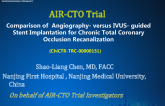 AIR-CTO TrialComparison of  Angiography- versus IVUS- guided Stent Implantation for Chronic Total Coronary Occlusion Recanalization