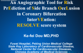 An Angiographic Tool for Risk PrEdiction of Side Branch OccLusion in Coronary Bifurcation InterVEntion: RESOLVE score system