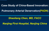 Case Study of China-Based Innovation:Pulmonary Arterial Denervation(PADN)