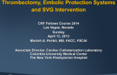 Thrombectomy, Embolic Protection Systems, and SVG Intervention