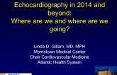 Echocardiography in 2014 and beyond: Where are we and where are we going?