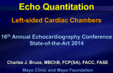 Echo Quantitation Left-sided Cardiac Chambers