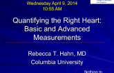 Quantifying the Right Heart: Basic and Advanced Measurements