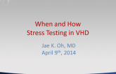 When and How: Stress Testing in VHD