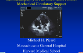 Echocardiography in Advanced Heart Failure: Mechanical Circulatory Support