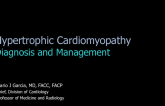 Hypertrophic Cardiomyopathy: Diagnosis and Management