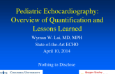 Pediatric Echocardiography: Overview of Quantification and Lessons Learned