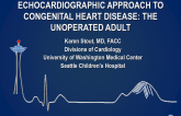 Echocardiographic Approach to Congenital Heart Disease: The Unoperated Adult