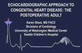 Echocardiographic Approach to Congenital Heart Disease: The Postoperative Adult