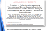 Guidelines for Performing a Comprehensive Transesophageal Echocardiographic Examination