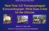 Real Time 3-D Transesophageal Echocardiograph: What Does it Add for the Clinician