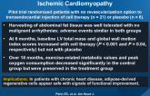 Adipose-Derived Regenerative Cells in Patients with Ischemic Cardiomyopathy