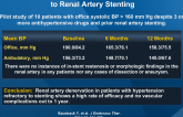 Renal Denervation for Hypertension Refractory to Renal Artery Stenting