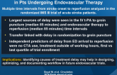 Evaluation of Interval Times from Onset to Reperfusion in Pts Undergoing Endovascular Therapy