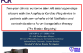 Two-year clinical outcome after left atrial appendage closure with the Amplatzer Cardiac Plug device in patients with non-valvular atrial fibrillation and contraindications for anticoagulation therapy