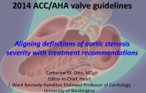 2014 ACC/AHA Aortic Valve Guidelines: Aligning Definitions of Aortic Stenosis Severity with Treatment Recommendations