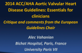 Critique and Comments from the European Guidelines Chairman