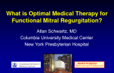 What is Optimal Medical Therapy for Functional MR?