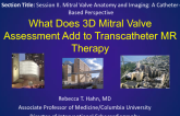 What Does 3D Mitral Valve Assessment Add to Transcatheter MR Therapy Guidance?