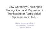 Low Coronary Challenges in Transcatheter Aortic Valve Replacement