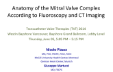 Anatomy of the Mitral Valve Complex According to Fluoroscopy and CT Imaging