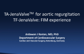 Jena Valve: Application for Aortic Regurgitation and FIM Experience with the TF Device