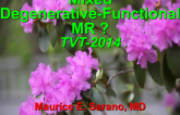 Mixed Degenerative and Functional MR: How Should the Valve be Characterized for Treatment?