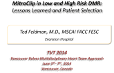 MitraClip in Low and High Surgical Risk DMR: Lessons Learned and Patient Selection