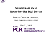The COLIBRI TAVR System
