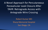 Novel Approach for Percutaneous Paravalvular Leak Closure After TAVR: Retrograde Access with Antegrade Wire Crossing