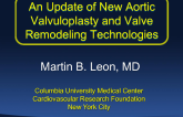 An Update of New Aortic Valvuloplasty and Valve Remodeling Technologies